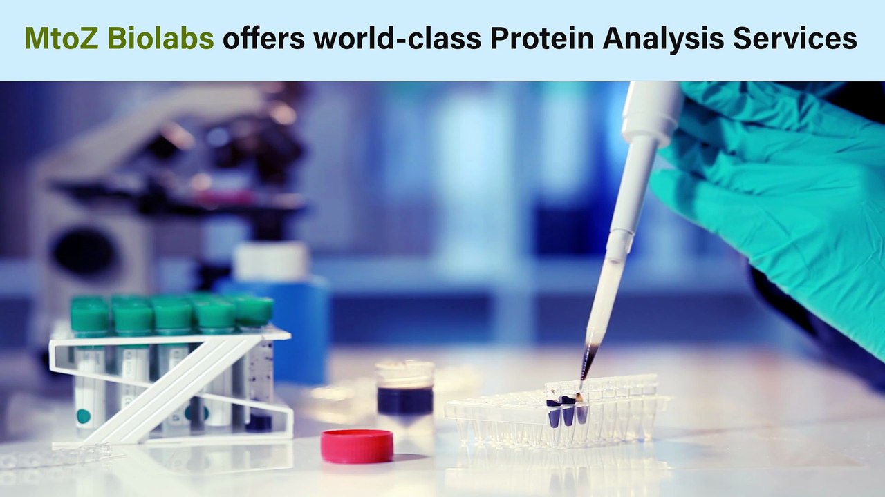 Protein Analysis Service