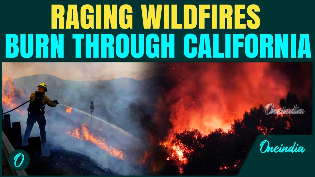 California in FLAMES | Wildfire DESTROYS 1,165 acres of land | Hundreds FLEE amidst PANIC & CHAOS