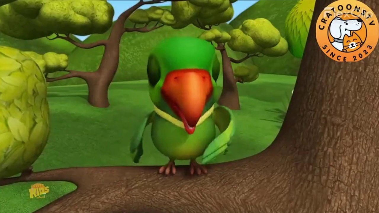 Mitho Tota Parrot