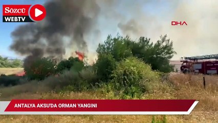 Antalya Aksu'da orman yangını