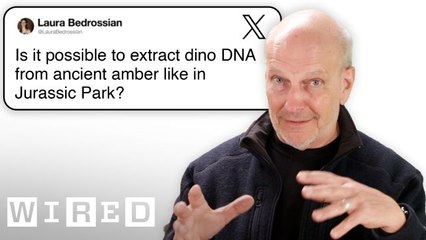 Paleontologist Answers Fossil Questions