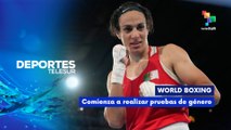 World Boxing comienza a realizar pruebas de género