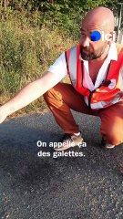Coup de chaux sur les routes de la Mayenne