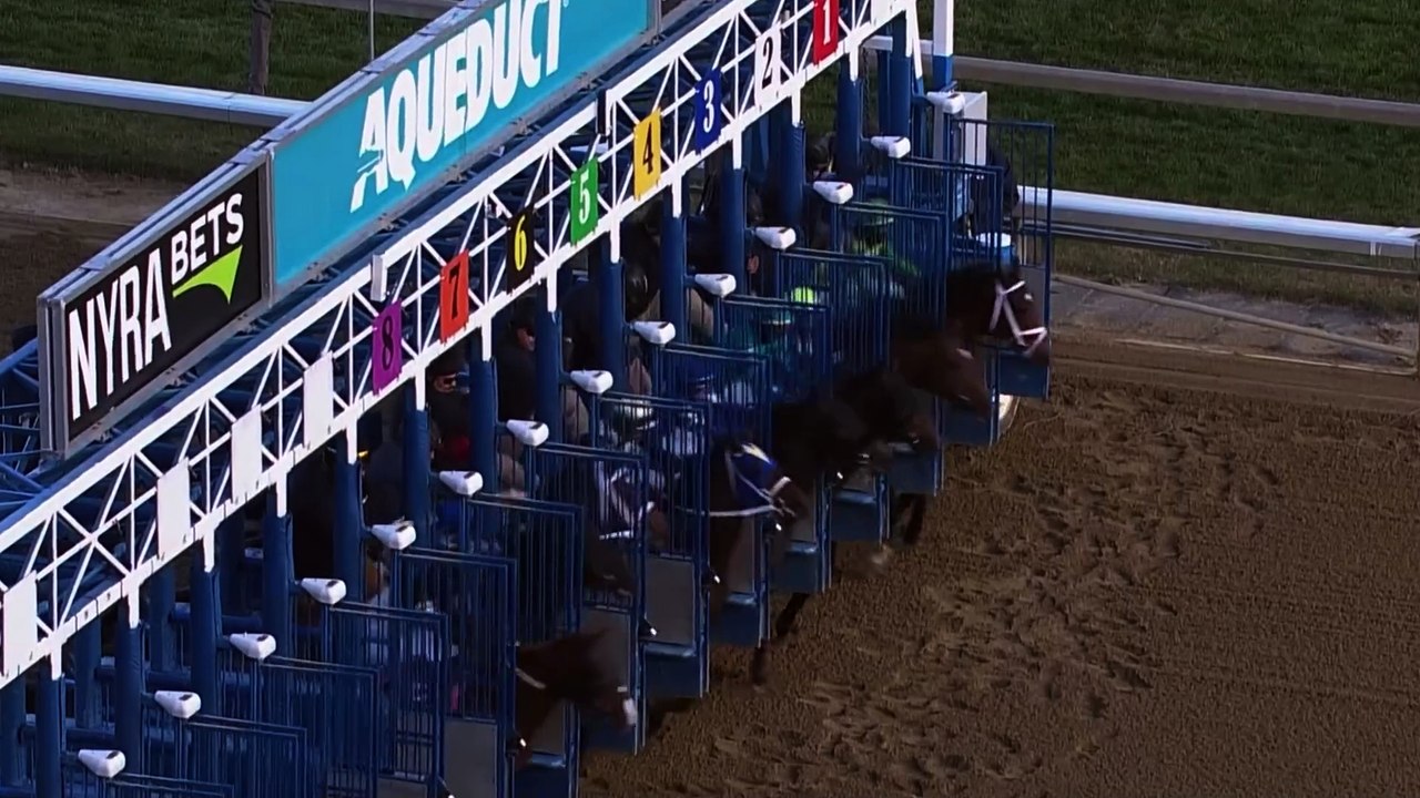 Spendthrift - Mo Donegal 2