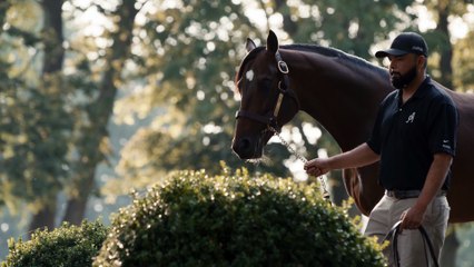 Spendthrift - The Ultimate Tribute to Greatness 🏆