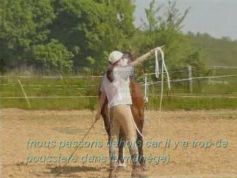 Séance d'étho avec Flipp: mardi 6/05/08