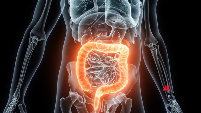 Salute: Mici, farmaci biologici cambiano approccio a malattia di Crohn e colite ulcerosa