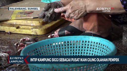 Intip Kampung Siggi Sebagai Pusat Ikan Giling Olahan Pempek