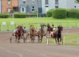 Gallery: Wales & Border Counties Harness Racing at Amman Valley