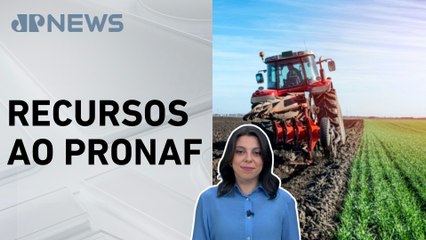 Mariana Grilli: Governo vai divulgar Plano Safra Familiar 25-26