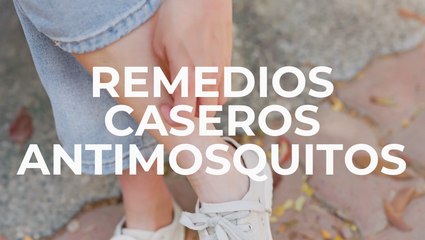 Remedios caseros antimosquitos