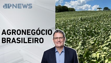 Hora H do Agro: Marcos Jank analisa impactos dos fatores internos e externos sobre o agro do Brasil