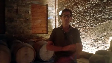 Tenuta Monastero di Aquileia, non solo vini doc della tradizione: qui, unico in Italia, il vitigno Palava