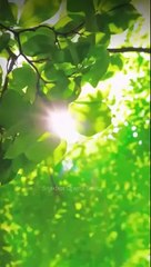 Mistress Protocol – FULL MOVIE [Eng Sub]