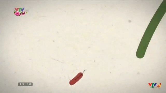 VTV HD(VTV1 HD HÒA SÓNG) MỞ ĐẦU GẶP NHAU CUỐI NĂM (27/1/2017)