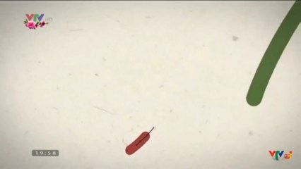 VTV HD(VTV1 HD HÒA SÓNG) MỞ ĐẦU GẶP NHAU CUỐI NĂM  (27/1/2017)