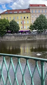 Marion pops off to Prague