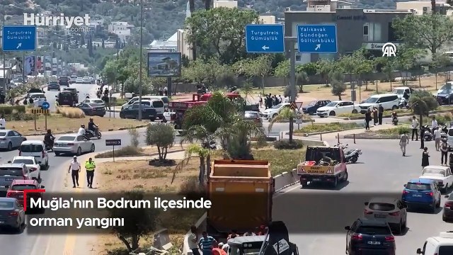 Muğla'nın Bodrum ilçesinde orman yangını