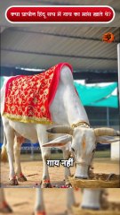 गाय की बलि का सच क्या है हिंदू धर्म में? #shorts