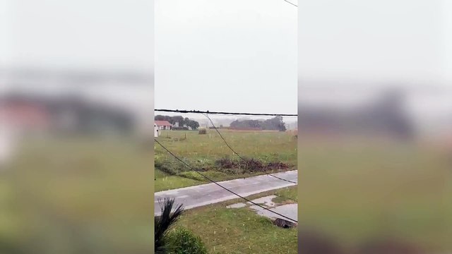 Nieve en Mar del Plata