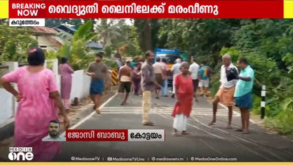 കോട്ടയം പേരൂരിന് സമീപം കറുത്തേടത്ത് വൈദ്യുതി ലൈനിലേക്ക് മരം  വീണ് 10 പോസ്റ്റുകൾ തകർന്നു
