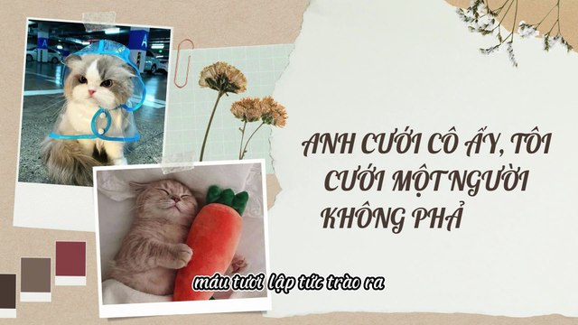 Truyện Audio Hay || Anh Cưới Cô Ấy, Tôi Cưới Một Người Không Phải Anh || Thiên Thần Dắt Truyện