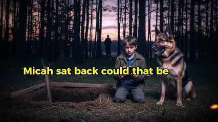 A Dog Visited the Same Grave Every Night — What a Boy Discovered Left the Town in Tears…