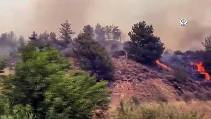 Hatay'da ormanlık alanda yangın çıktı