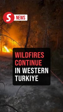 Firefighters battle to contain wildfires in western Turkey for second day