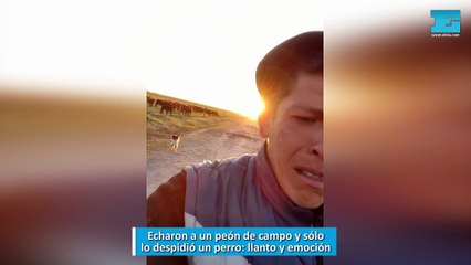 Echaron a un peón de campo y sólo lo despidió un perro: llanto y emoción