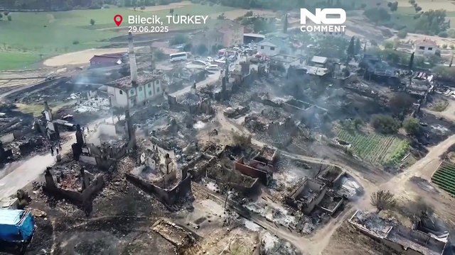 Türkei kämpft gegen Waldbrände, während Hitzewelle Europa erfasst