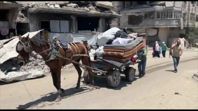 Gaza, Israele ordina nuova evacuazione mentre infuria la guerra fra bande