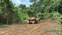 Bulldozer D6R XL Cleans Plantation Land Easily