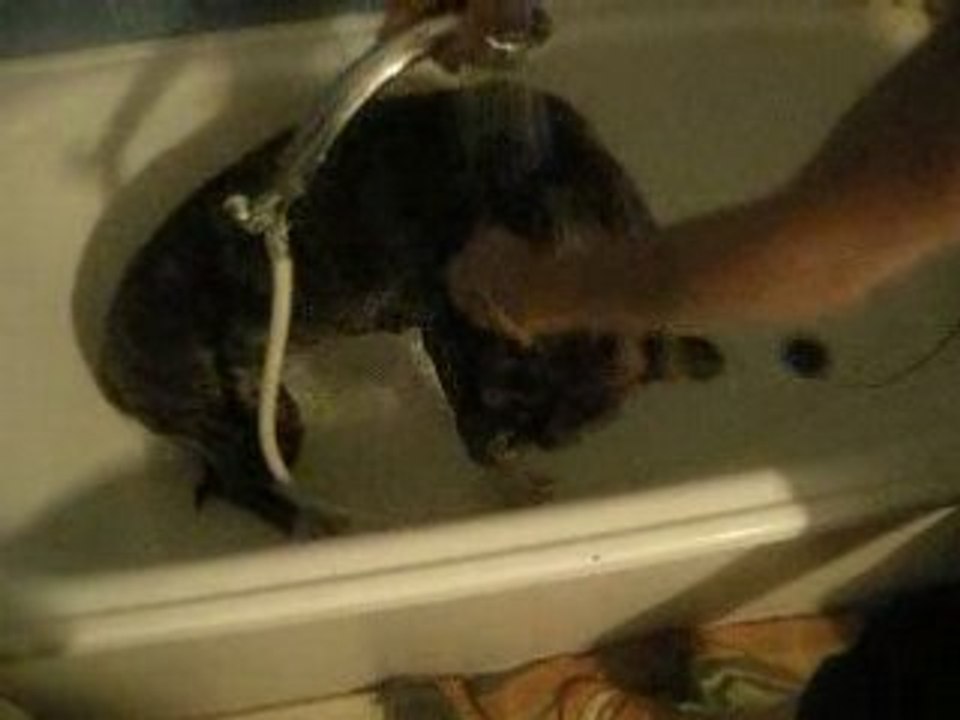 Naya a la douche 2