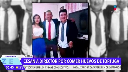 Cesan a funcionario de Medio Ambiente de Oaxaca por comer huevos de tortuga marina