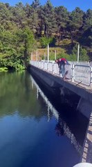 Sinop'ta köpek kurtarma operasyonu