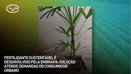 Fertilizante sustentável é desenvolvido pela Embrapa: Inovação atende demandas do consumidor urbanoa