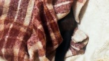 Who is hiding there? :)