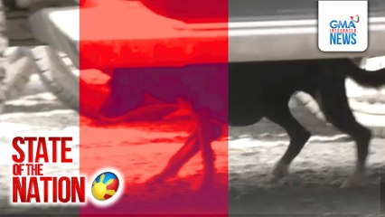 Asong gala na nakakagat ng mahigit 20 residente sa Iloilo City, sinisikap mahuli | SONA