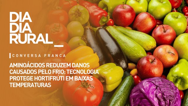 Aminoácidos reduzem danos causados pelo frio: tecnologia protege hortifrútis em baixas temperaturas