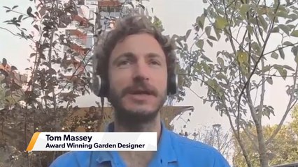 What Makes A Great British Pub Garden?