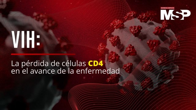 VIH, la pérdida de células CD4 en el avance de la enfermedad
