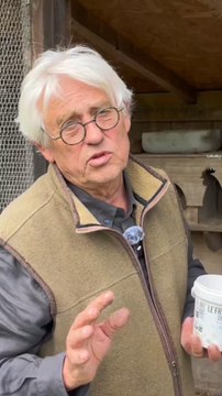 C’est quoi une bonne alimentation pour les poules ? Michel Audureau nous répond 🥰🐔 #poules #jardin #ferme