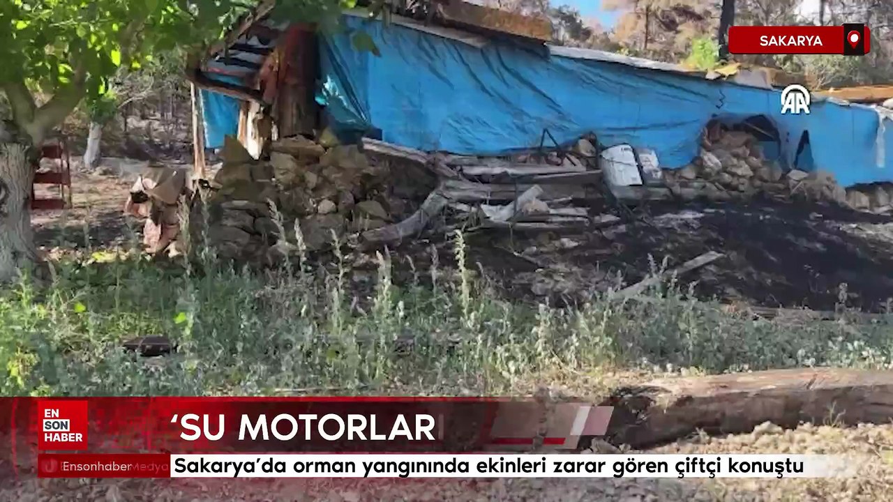 Sakarya’da orman yangınında ekinleri zarar gören çiftçi konuştu