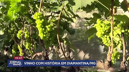 Diamantina entra no roteiro da produção de vinhos