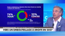 Dominique Reynié : «La droite gagne à être plurielle sur la ligne de départ»
