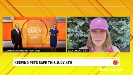 Keeping pets safe during the Fourth of July