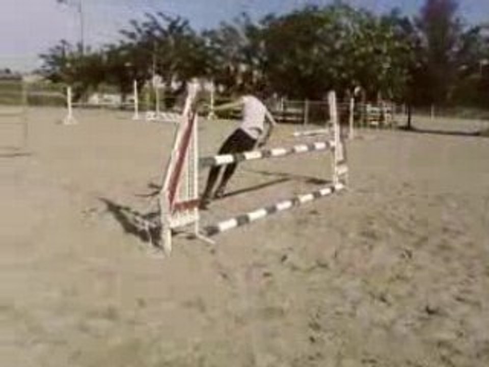 Sox qui saute Tché qui critique ! Chevalgaronne