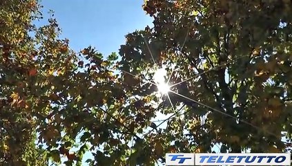 Video News - Caldo: arriva l'ordinanza della Regione