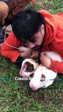 Lutador de Muay Thai é atacado e imobiliza dois pitbulls em Ponta Porã (MS